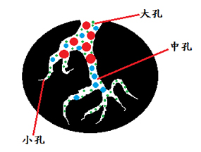 活性炭結構.jpg
